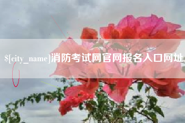 凤城消防考试网官网报名入口网址