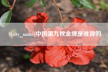 凤城中国第九枚金牌是谁得的