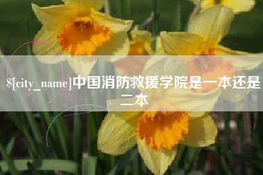 凤城中国消防救援学院是一本还是二本