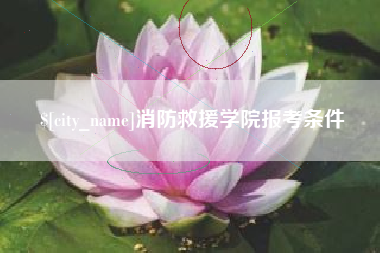 凤城消防救援学院报考条件