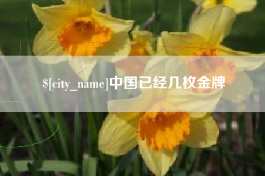 凤城中国已经几枚金牌