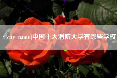 凤城中国十大消防大学有哪些学校