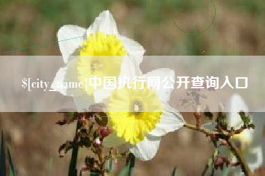 凤城中国执行网公开查询入口