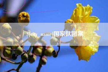凤城国家队图案
