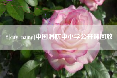 凤城中国消防中小学公开课回放