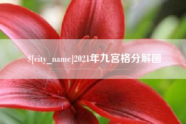 凤城2021年九宫格分解图