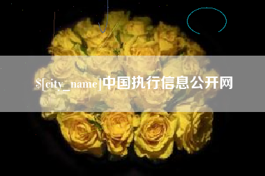 凤城中国执行信息公开网