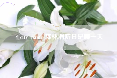 凤城森林消防日是哪一天