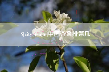 凤城中国夺金排第几