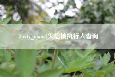 凤城失信被执行人杳询