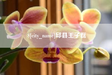 凤城邱县王子磊