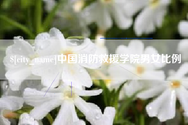 凤城中国消防救援学院男女比例