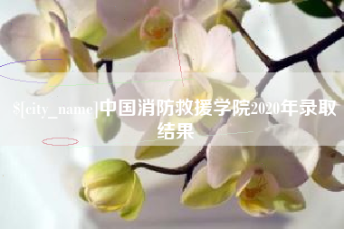 凤城中国消防救援学院2020年录取结果