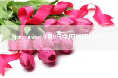 凤城11月9日全国消防日图片