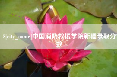 凤城中国消防救援学院新疆录取分数