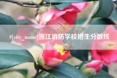 凤城浙江消防学校招生分数线