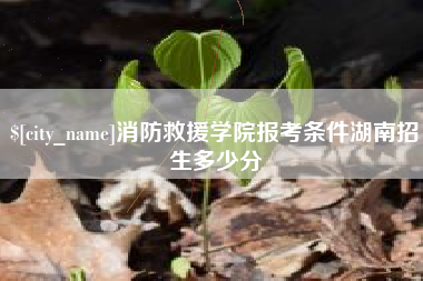 凤城消防救援学院报考条件湖南招生多少分