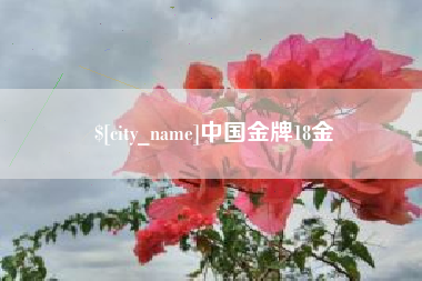 凤城中国金牌18金