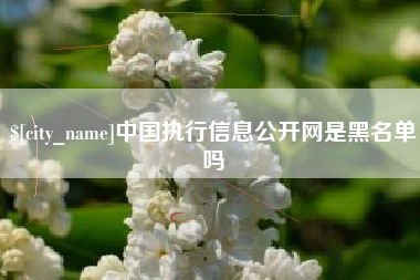凤城中国执行信息公开网是黑名单吗
