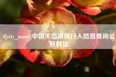 凤城中国失信被执行人信息查询公开网址