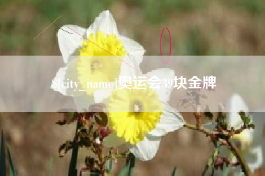 凤城奥运会39块金牌