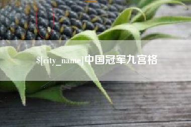 凤城中国冠军九宫格