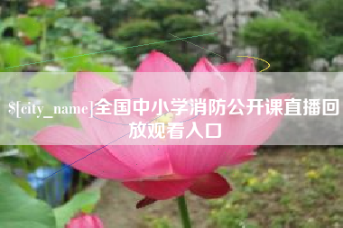 凤城全国中小学消防公开课直播回放观看入口