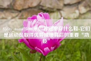 凤城5000米世界冠军穿什么鞋-它们是运动员取得优异成绩背后的重要“功臣”