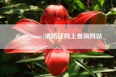 凤城消防证网上查询网站