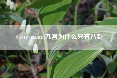 凤城九宫为什么只有八卦