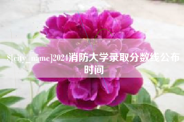 凤城2024消防大学录取分数线公布时间
