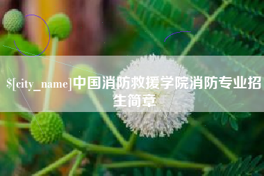 凤城中国消防救援学院消防专业招生简章