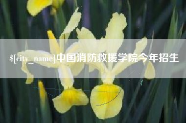 凤城中国消防救援学院今年招生