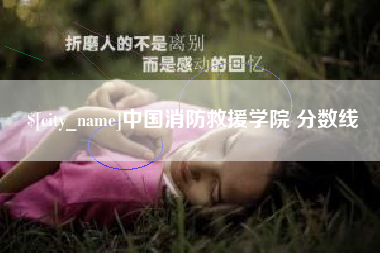 凤城中国消防救援学院 分数线