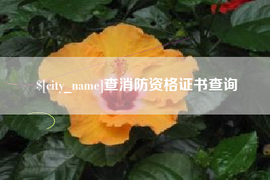 凤城查消防资格证书查询