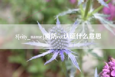 凤城消防ccc认证什么意思