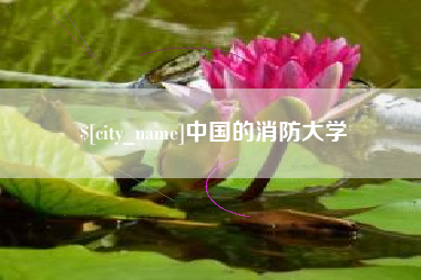 凤城中国的消防大学