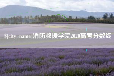 凤城消防救援学院2020高考分数线