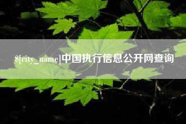 凤城中国执行信息公开网查询