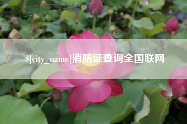 凤城消防证查询全国联网