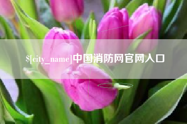 凤城中国消防网官网入口