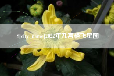 凤城2022年九宫格飞星图