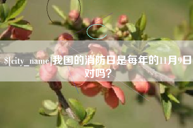 凤城我国的消防日是每年的11月9日对吗？