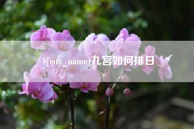凤城九宫如何排日