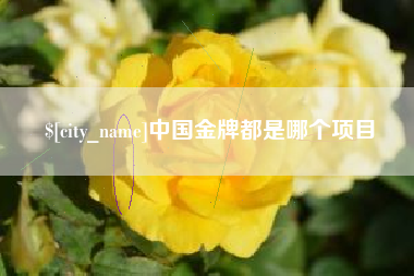 凤城中国金牌都是哪个项目