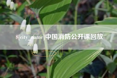 凤城中国消防公开课回放