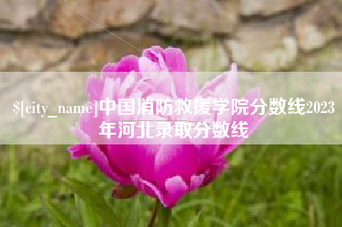 凤城中国消防救援学院分数线2023年河北录取分数线