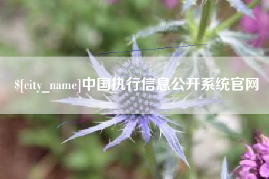 凤城中国执行信息公开系统官网
