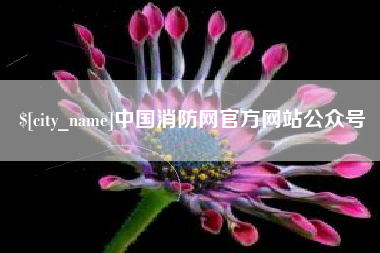 凤城中国消防网官方网站公众号