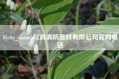 凤城川消消防器材有限公司官网电话